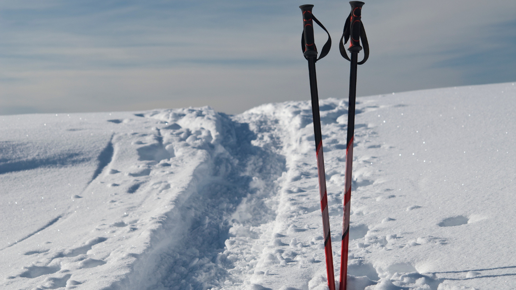 Waar worden skistokken voor – SkiBro | Blog