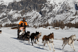 Dog sledding in the mountains